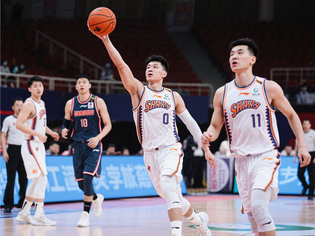 也能快速上 也能快速上